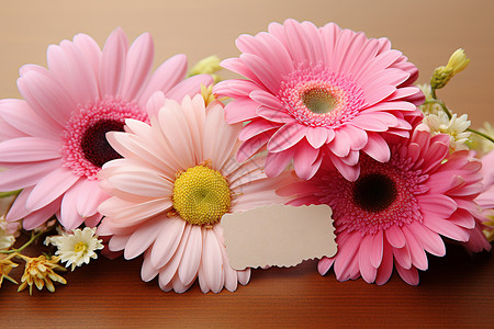 一束粉红花摄影背景图片