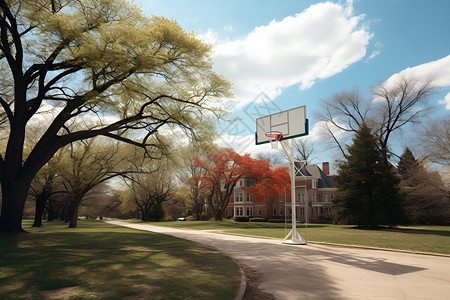 球场篮球架元素公园中的篮球架背景