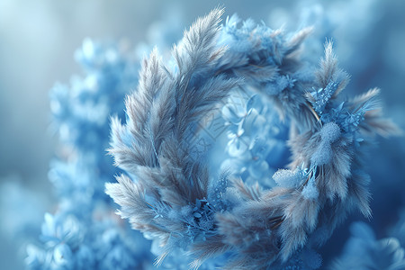 冰霜低价蓝色之花插画