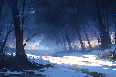 冬日夜晚的森林背景图片