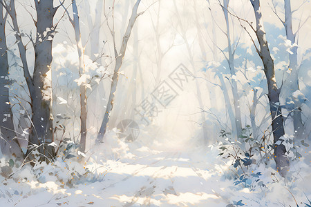 轻柔的冬日美景背景图片