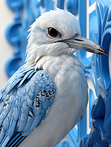 一只海鸥背景图片