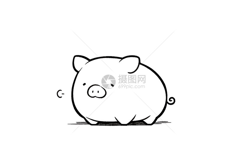 快乐的小型猪图片