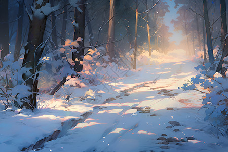 冬天森林风景背景图片