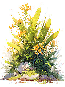 黄色的花朵背景图片