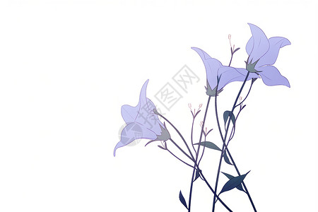 白色紫色美丽白色背景中清新的花朵插画