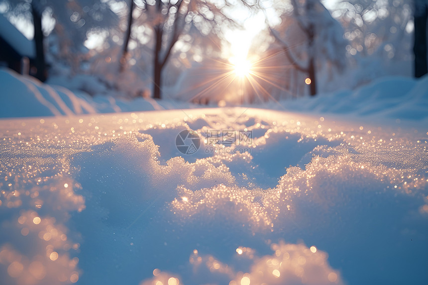 冬日雪景图片