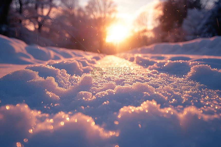 阳光照耀下的雪景图片