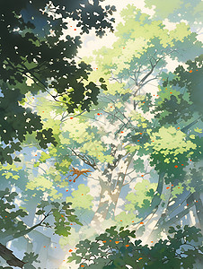 夏日森林树冠如仙光倾洒高清图片
