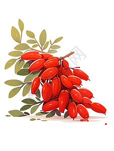 红色的浆果背景图片