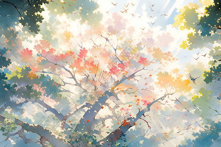 蓝天和树木背景图片