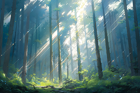 森林中的阳光背景图片