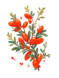红色叶子背景红色的神奇果实插画