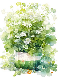 水彩植物插画背景图片