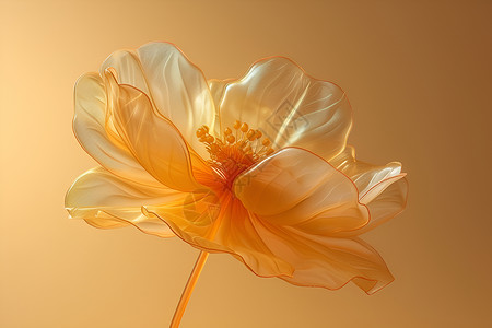 阳光下的花朵背景图片
