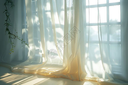 窗边阳光清晨的窗边背景