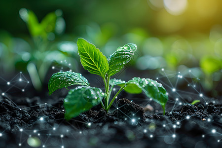 种植植物农业物联网应用设计图片