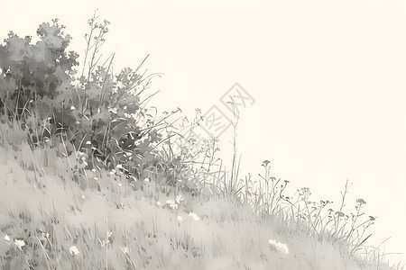 田野的黑白草地高清图片