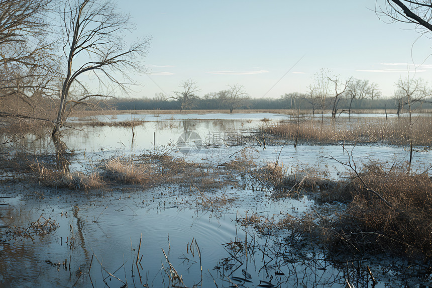 洪水对当地生态系统造成的风险图片