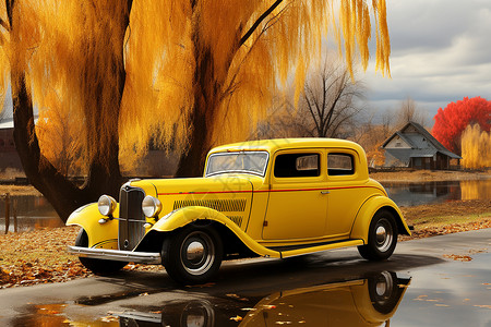 树下的黄色汽车背景图片
