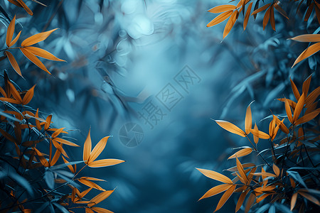 竹林枝叶背景图片