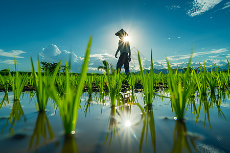 水面反射农民的身影背景