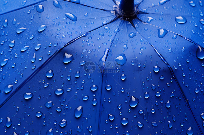 披着水珠的蓝色雨伞图片