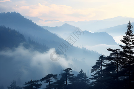迷雾缥缈的山谷背景图片