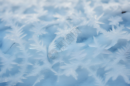 冰里的纹理雪花结冻高清图片