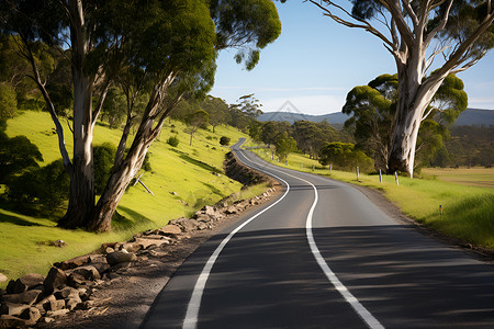 山间道路山间的交通公路背景