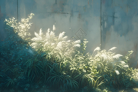 芦苇植物背景图片