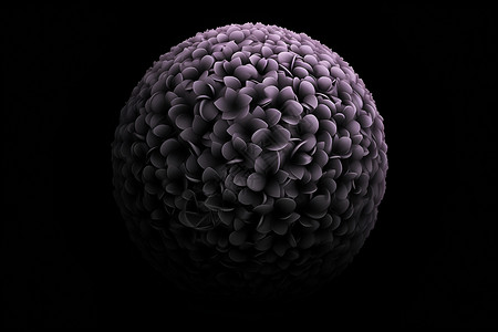 紫色的大球植物坚实高清图片