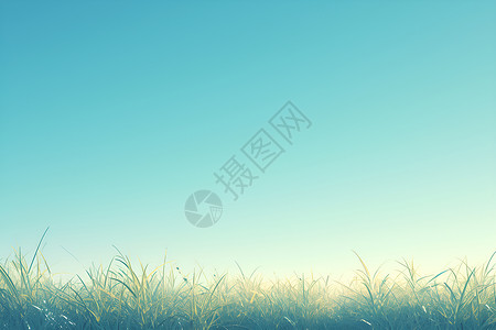 静谧的草地背景图片