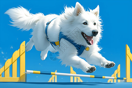白色小狗萨摩耶犬高清图片