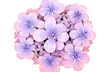 紫色花束背景图片