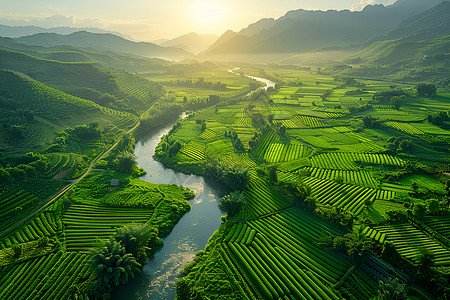 绿色插画山谷中的绿色田野背景