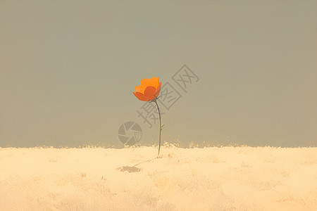 寒风中傲立的孤独花瓣高清图片