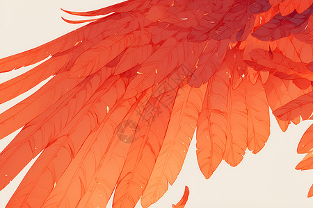 红色翅膀鸟羽毛翼展高清图片
