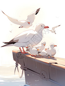 白色海鸥插画
