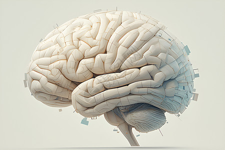 治脑子展示的器官脑子插画