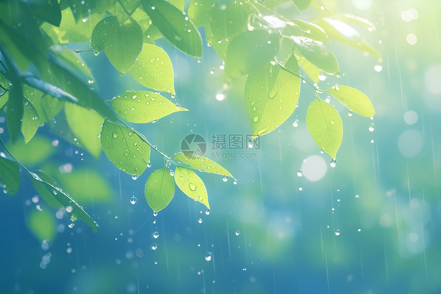 春雨时节图片