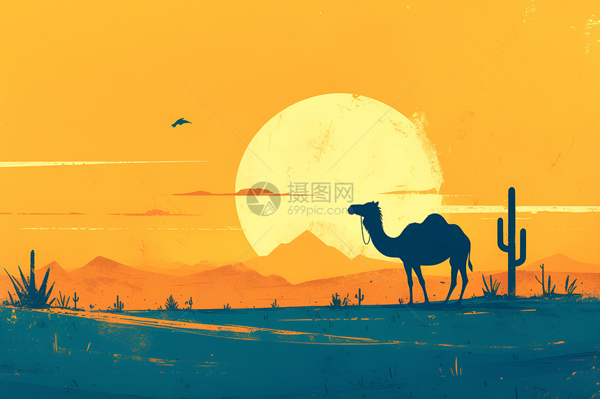 落日下的骆驼图片