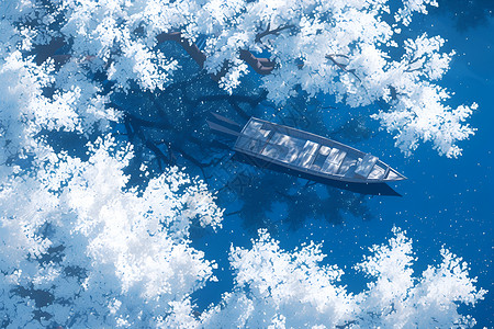 船只图片湖泊中的孤舟插画