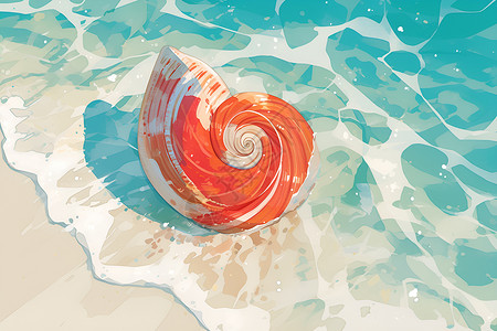 海螺壳海滩上的贝壳插画