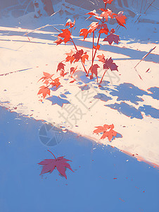 红叶雪雪地上的红叶插画