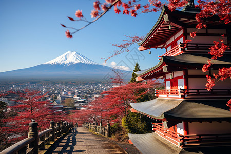 富士山画枫叶下的寺庙背景