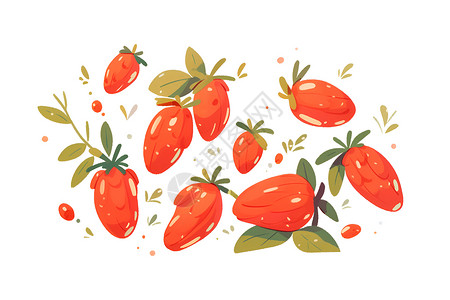 红地毯莓果成熟的枸杞插画