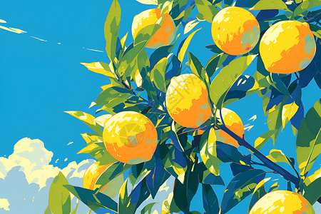 果园施肥蓝天下的柠檬树插画