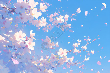 樱花盛放春意盎然背景图片