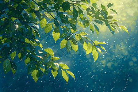 细雨中的树叶背景图片